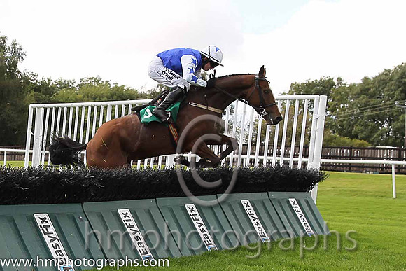 08th Pearl Diamond ( 5 , blue, light blue star ) and P. Townend - Trainer : W.P. Mullins - Owner : Supreme Horse Racing Club