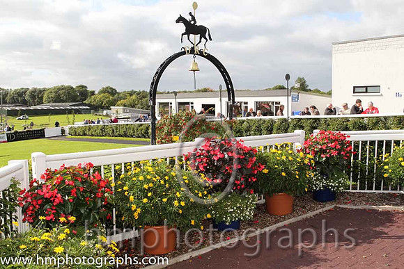 Downpatrick Race Course parade Ring