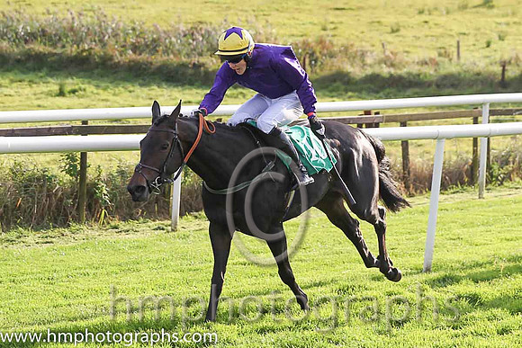 01st Whizzzey Rascal ( 10 , purple, yellow cap ) and F.Maguire (7) - Trainer : Miss Elizabeth Doyle - Owner : BK Racing Partnership