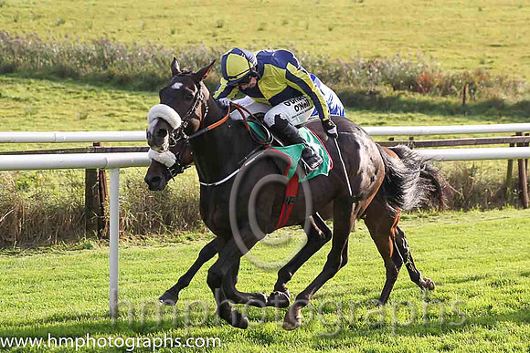 04th Tajseer (USA) ( 7 , dark blue and yellow qtrd ) and N. Carberry - Trainer : Gordon Elliott - Owner : Paul A.Rooney