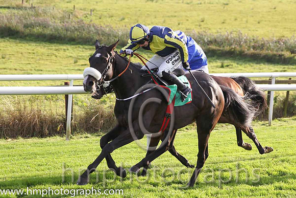04th Tajseer (USA) ( 7 , dark blue and yellow qtrd ) and N. Carberry - Trainer : Gordon Elliott - Owner : Paul A.Rooney