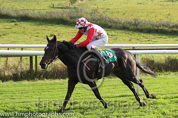 06th Rock N'Stones ( 6 , white, red stars ) and D.L. Queally (5) - Trainer : Kieran Purcell - Owner : Kieran Purcell