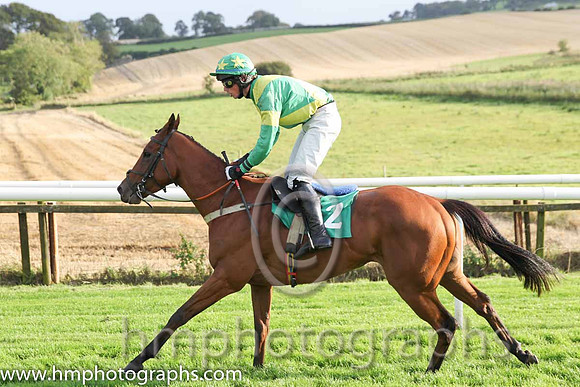 10th Paddytheirishman ( 2 , emerald green, yellow cross sashes ) and P.J. Cawley (7) - Trainer : G.T.Lynch - Owner : Mrs Mary T.Kelly