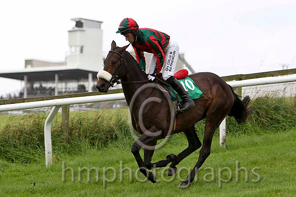 Leafy Arbour , Jockey P W Flood - Pulled Up- CU2D2233-e