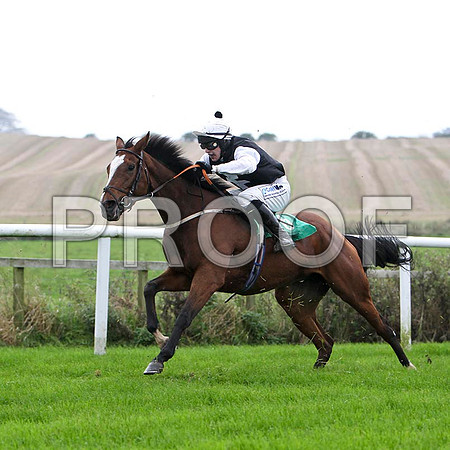 Cyrus , 6th , Jockey I J McCarthy  - FT8E5167-e