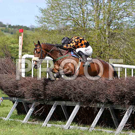 Mister Philson , winner, Jockey Derek O'Connor - FT8E1989-e