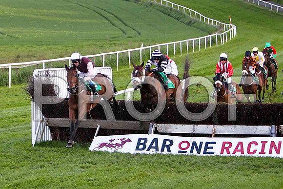 Rose of Fairyhill , 4th, Jockey Mr J T Carroll in the lead - FT8E3180-e