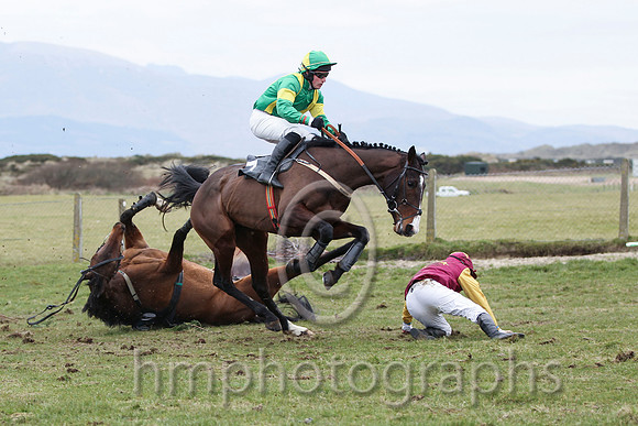 11 - Back To The Party & J E Flynn - PU (7, emerald green, yellow braces ) & 06 - She'll Tell Meda & J Cresswell - Fell (14, maroon, gold stars ) - FT8E0817-10