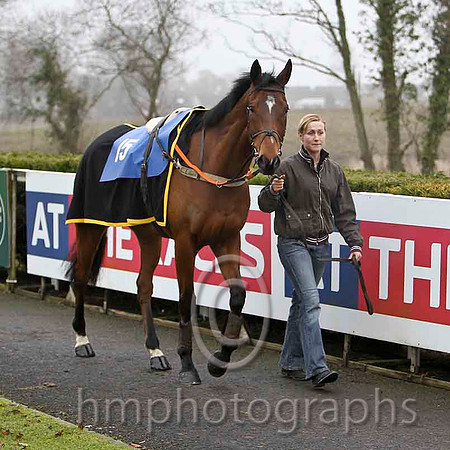 Tammys Hill - Jockey L McNiff - 7th - CU2D1758-e