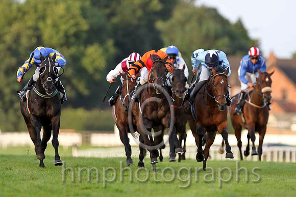 Windsor Pride & C D Hayes - Winner (12, Orange, Black star) - CU2D3434-e