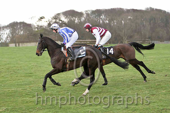 Hannah Maud & J E Flynn - Fell (5, royal blue & white stripes) &  Queen Of The west & K E Power - PU (14, maroon, white chevrons) -  FT8E9444-e