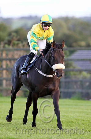 Golan Heights & R P Whelan - 8th (6, yellow, emerald green star) - CU2D3392-e