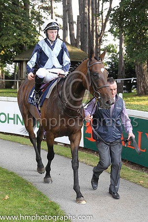01 Fiesolana and W J Lee - - 01st (1 ,dark Blue, light blue cross sashes ) Trainer - W McCreery