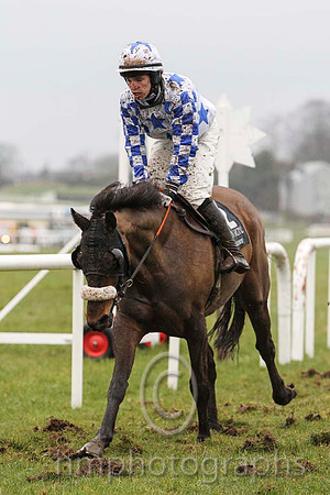 07 Dunroe Boy & I J McCarthy - 7th (2, white, royal blue stars) - FT8E2380-45
