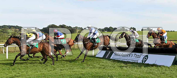 Rossgavand 12th, Jockey T C  Carroll leads the group - FT8E3098-e