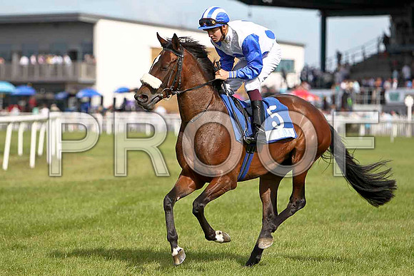 Vampire Blues winner, Jockey K Latham - CU2D0452-e