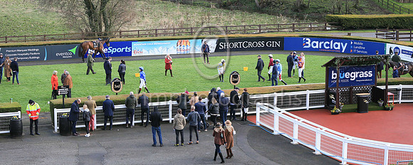 Down Royal parade ring on St Patrick's Day 17th March 2023