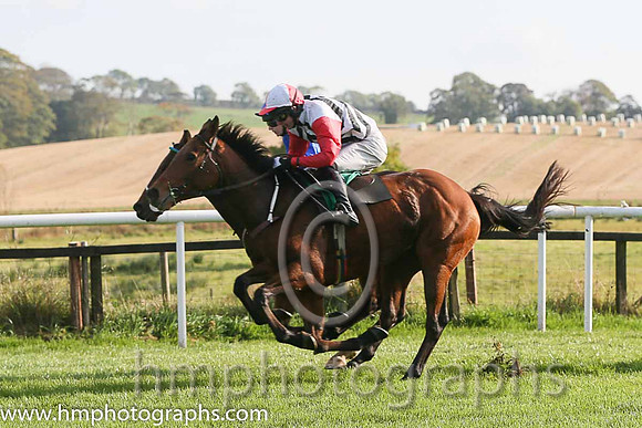 01st Urban Dusk ( 2 , white and black chevrons ) and D.R. Fox - Trainer : Mark Michael McNiff - Owner : Sligo Racing Club