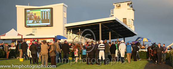 Downpatrick Racecourse Parade Ring