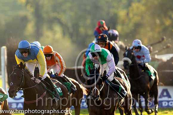 01st Down Time (USA) ( 1 , green, mauve hlvd ) and B. Hayes - Trainer : John Joseph Hanlon - Owner : Mrs.A.F. Mee