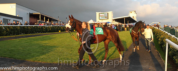 Downpatrick Racecourse Parade Ring