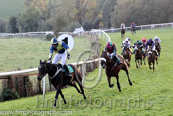 01st Concience ( 9 , dark blue and yellow qtrd ) and J.P. Dowling (7) - Trainer : Desmond McDonogh - Owner : P.E.I.Newell