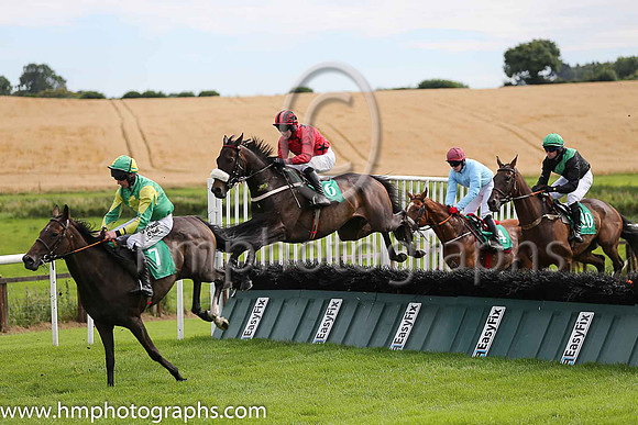 08th Thank You Pa and A Ring ( 6 , red,black stars ) Trainer - G Hayes , Owner - G Hayes