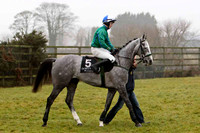 Another Palm - Jockey T C Carroll - Winner - CU2D1782-e