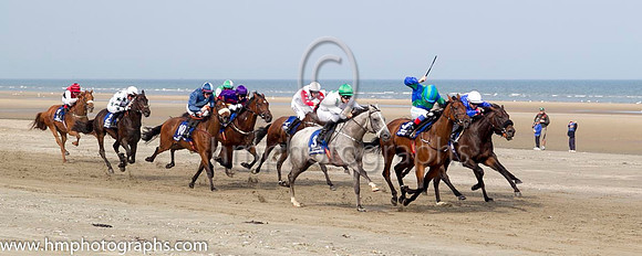 1 Our Max and S Foley - - 1st (3 ,white, emerald green large spots ) Trainer - Patrick Martin