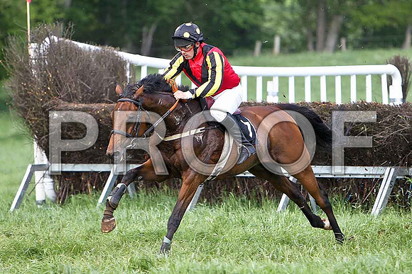 Fourth Race - Giuliana (7) Fell, Rider P C Greeves - CU2D9613-e
