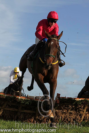 09 Didntitellya & P Townend - 9th (7, cerise ) - CU2D8845-1