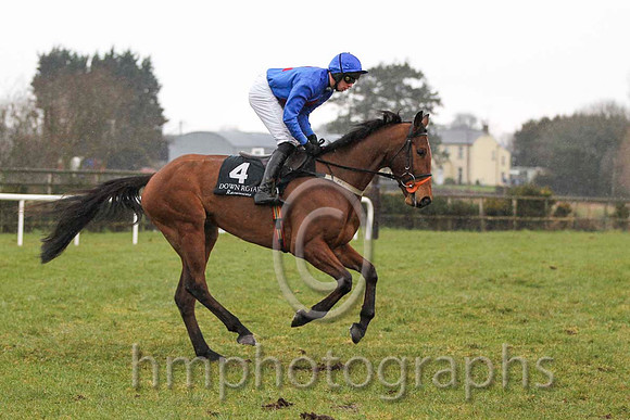 01 Fayette County & Mr S Clements - winner (4, royal blue, red cross) - FT8E2494-18