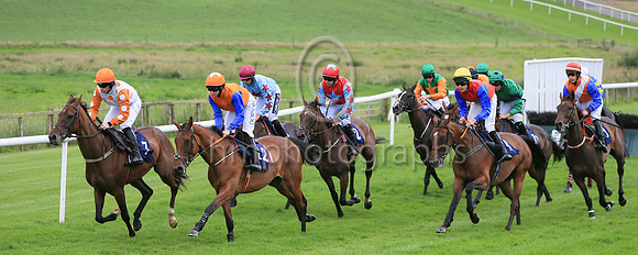 01st Diamondinthemud (5 , light blue, red star ) Jockey: Conor Orr , Trainer: Nigel Thomas Slevin