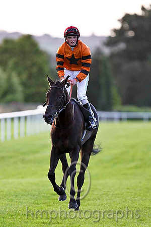 Windsor Pride & C D Hayes - Winner (12, Orange, Black star) - CU2D3484-e2