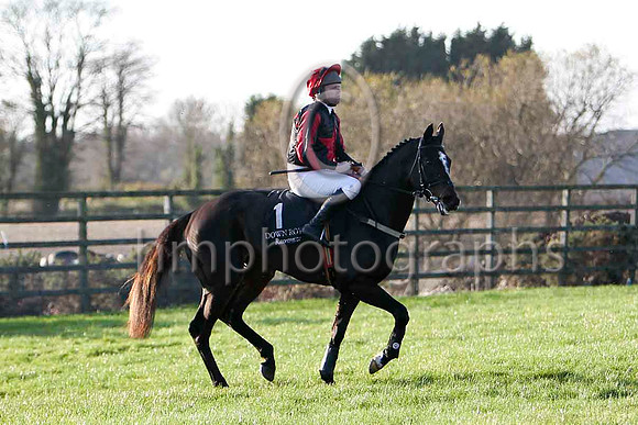 Accordian To Paddy , 11th - Jockey B W Cash - FT8E6593-e