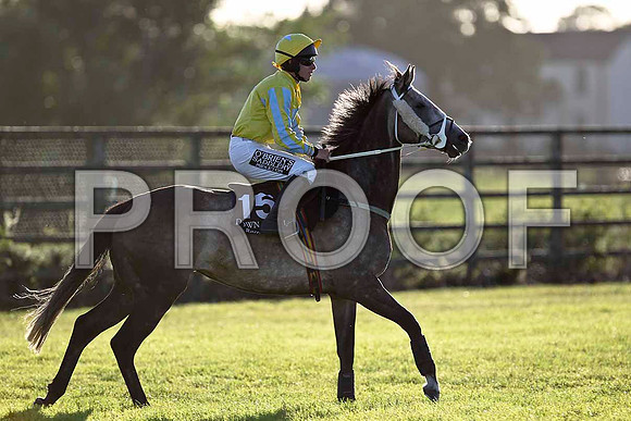 Carutomark Brought Down, Jockey P T Enright - FT8E1079-e