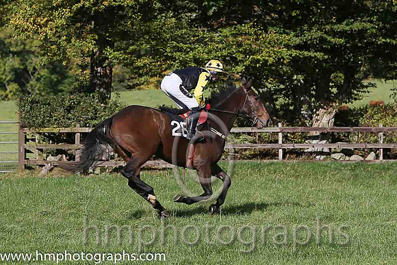 Crosshue Dude and H Dunne ( 28 , BLACK,yellow epaulettes; yellow,black stars sleeves; yellow cap ) Trainer: Donnchadh Doyle,, Owner : D  N Syndicate