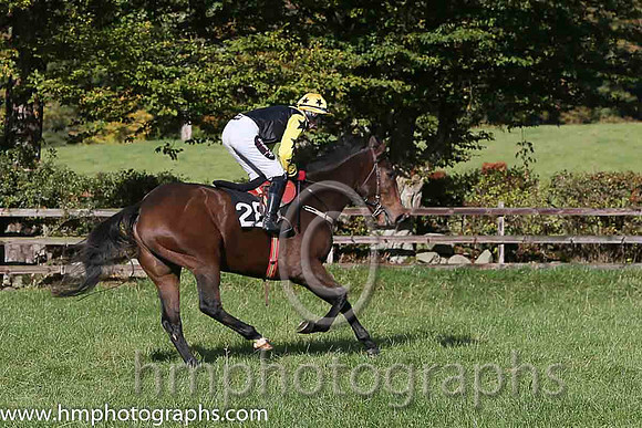 Crosshue Dude and H Dunne ( 28 , BLACK,yellow epaulettes; yellow,black stars sleeves; yellow cap ) Trainer: Donnchadh Doyle,, Owner : D  N Syndicate