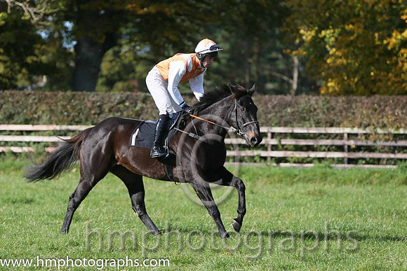 Faithful Life (Fr) and J O'Rourke ( 1 , ORANGE,white epaulettes; white, plain sleeves; orange cap,white star ) Trainer: Denis Paul Murphy,, Owner : Maria Byrne
