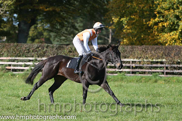 Faithful Life (Fr) and J O'Rourke ( 1 , ORANGE,white epaulettes; white, plain sleeves; orange cap,white star ) Trainer: Denis Paul Murphy,, Owner : Maria Byrne