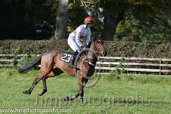 Badboybo and R Barren ( 23 , WHITE,red hoop; white sleeves; red cap ) Trainer: Gary McGill,, Owner : Aidan B. Darragh