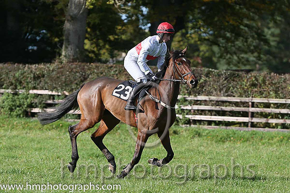 Badboybo and R Barren ( 23 , WHITE,red hoop; white sleeves; red cap ) Trainer: Gary McGill,, Owner : Aidan B. Darragh