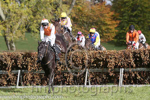 Faithful Life (Fr) and J O'Rourke ( 1 , ORANGE,white epaulettes; white, plain sleeves; orange cap,white star ) Trainer: Denis Paul Murphy,, Owner : Maria Byrne