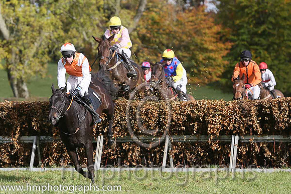 Faithful Life (Fr) and J O'Rourke ( 1 , ORANGE,white epaulettes; white, plain sleeves; orange cap,white star ) Trainer: Denis Paul Murphy,, Owner : Maria Byrne