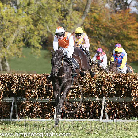Faithful Life (Fr) and J O'Rourke ( 1 , ORANGE,white epaulettes; white, plain sleeves; orange cap,white star ) Trainer: Denis Paul Murphy,, Owner : Maria Byrne