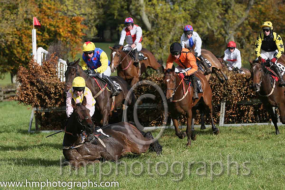 01st Bach De Clermont (Fr) and D Lavery ( 21 , ORANGE,black seams; orange,black seams sleeves; black cap ) Trainer: B.R. Hamilton,, Owner : Nigel Baring