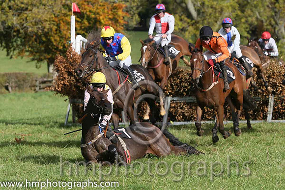 Reigning Supreme and M J O'Hare ( 7 , PINK  YELLOW CHECK; pink sleeves; yellow cap ) Trainer: Warren Ewing,, Owner : Warren Ewing