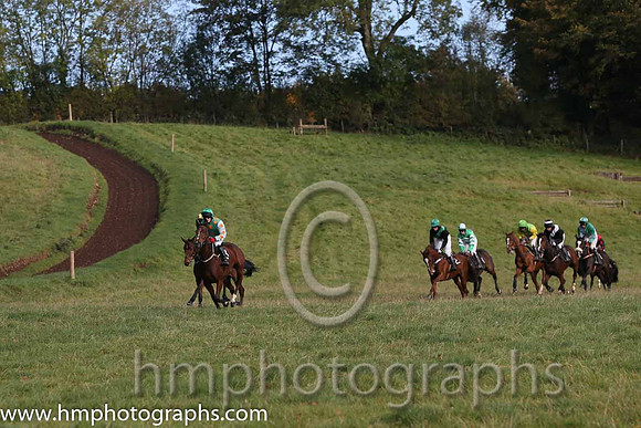 Boston Lady and R James ( 3 , EMERALD GREEN,orange spots; white,orange spots sleeves; emerald green cap ) Trainer: Donnchadh Doyle,, Owner : Monbeg Syndicate