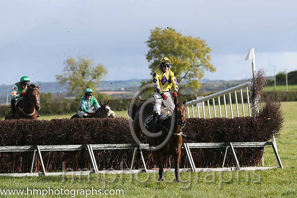 03rd Xtra Generous and H Dunne ( 10 , YELLOW,purple diamond; yellow,purple diamonds sleeves; yellow cap,purple diamonds ) Trainer: Eoin G. Barry,, Owner : Cecil Ashe