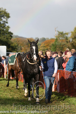 East Antrim Hunt Point to Point at Loughanmore